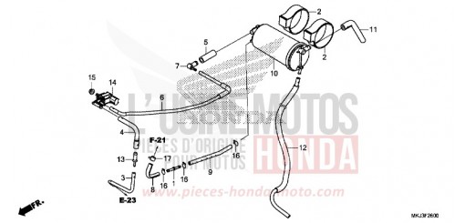CUVETTE CB1000RAL de 2020